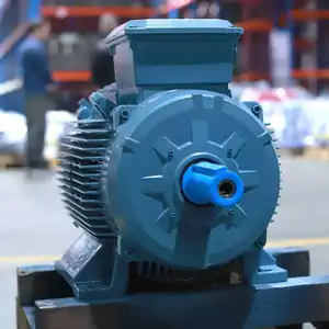 Hot Sale Customized Totally Enclosed 10 Hp 3 Phase Strong Gear Electric Motor Ac
