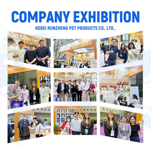 Arena para Gatos de Cristal de Rápida Absorción, Un Bolsa para Un Mes, Arena de Gel de Sílice, Soluciones de Limpieza para Mascotas con Fuerte Acción Antibacteriana - Product Image 4