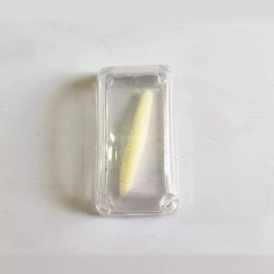 En stock: Juguetes de simulación de insectos de hielo enteros, moscas de cubitos de hielo, bichos blancos de cristal para broma, juguetes creativos transfronterizos - Product Image 4