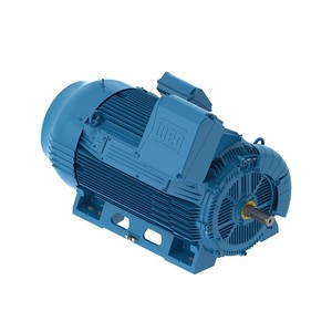 Moteur asynchrone triphasé haute efficacité WEG W21 4P-11KW-415V-50HZ IP66 antidéflagrant basse tension AC à cage d'écureuil B3T IE3 - Product Image 6