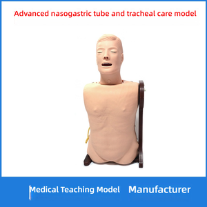 Havayolu yönetimi trakeal bakım burun besleme gastrik tüp ekleme için gelişmiş PVC entübasyon eğitim mankeni - Product Image 2