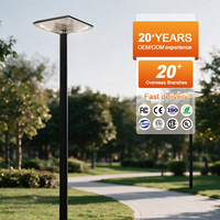 Lampes solaires de jardin LED 60W 160lm/w, 60W IP65 3000K 6000K ABS, livraison rapide d'usine professionnelle