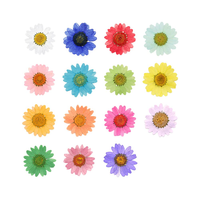 Fleurs séchées pressées, bijoux bohèmes, marguerites pressées colorées, fleurs séchées préservées pour coques de téléphone, sous-verres en résine et artisanat