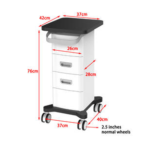 Chariot de Service Métallique Robuste Moderne, Capacité de Levage 80 kg, pour Spa, Salon de Beauté, Machine Faciale et Équipement <span class=keywords><strong>Esthétique</strong></span> Hôtelier - Product Image 2