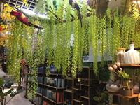 Plantes suspendues artificielles en PVC en gros, fausses perles de ficelle pour la décoration murale de la maison et du jardin, pour la Saint-Valentin et les remises de diplômes