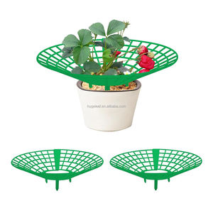 <span class=keywords><strong>Support</strong></span> de <span class=keywords><strong>support</strong></span> de culture en plastique <span class=keywords><strong>pour</strong></span> plantes de fraises avec 3 pieds robustes - Product Image 1