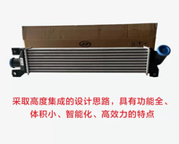 Radiateur Wuling Capgemini pour Victory N15T/MT S15T CVT HEV, nouveau réservoir d'eau, condenseur, ventilateur électrique, intercooler