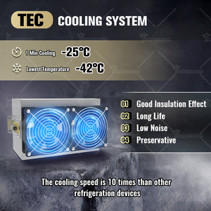 Oem 4000 Wát xung dài Alex Máy tẩy lông bằng laser Nhà cung cấp nhẹ nhàng với làm mát 755nm 1064nm Nd Yag alexandrite lase máy - Product Image 4