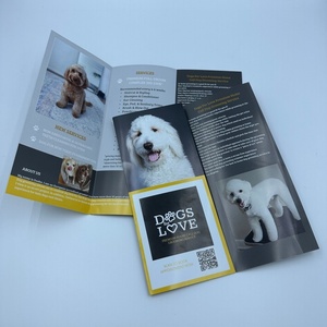 Folleto Pequeño de 280x200 mm, 200 g/m², Impresión Digital Ecológica, para <span class=keywords><strong>Cupones</strong></span> de Bienestar Comerciales, Tiendas de Muebles, Bancos, Talleres de Reparación - Product Image 3