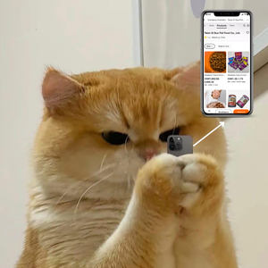 プロバイオティクスを使用したOEM高タンパク穀物フリードライキャットフード | チキン & サーモンフレーバー卸売 - Product Image 1