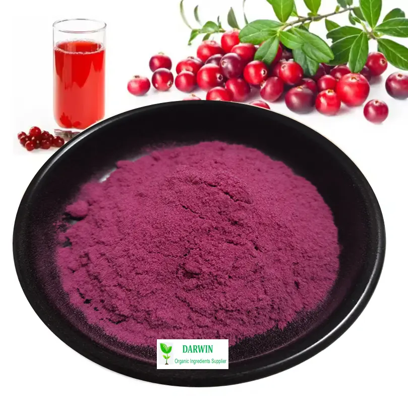 Darwin Cranberry hữu cơ chiết xuất từ quả Cranberry Bột nước ép Nam Việt Quất bột