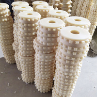 Engrenage à dents droites en nylon autolubrifiant de grande taille de la marque Neway, tolérance de 0,05 mm, processus d'injection et de perçage CNC, couleur personnalisée