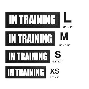 Móc Và Vòng Lặp Dính Tùy Chỉnh Người Bạn Tốt Nhất Vá Tùy Chỉnh Bán Buôn Con Chó Các Bản Vá Lỗi Cho Động Vật - Product Image 3