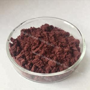 Toptan fiyat organik Acai Berry özü doğal brezilya Acai Berry meyve suyu tozu - Product Image 6