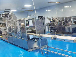 WADJAY Stainless Steel 304 Automatic Wet Wipes Machine 3.5kW Power GMP Compliant 1 Year Warranty US Origin - Product Image 2