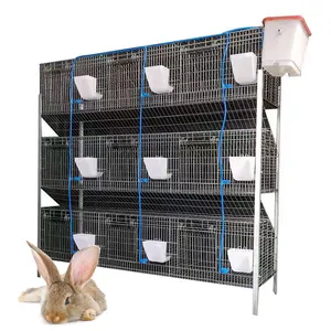 Cages pour animaux de compagnie bon marché pour lapin cages de ferme d'élevage commercial à vendre