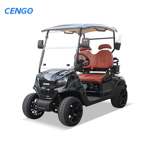 Voiturette de golf personnalisable 2 places 48V homologuée pour la route à vendre – Voiturette de golf 2 places à essence - Product Image 2