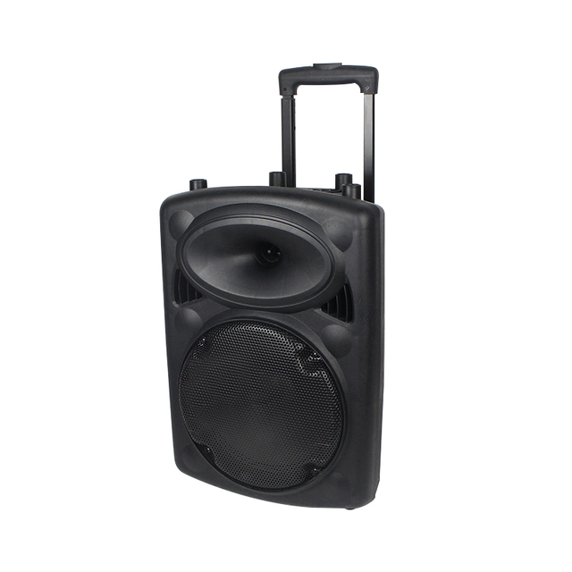 High Quality 8 Inch Portable Amplifier Trolley Portable BT Amplifier Speaker With Batteries