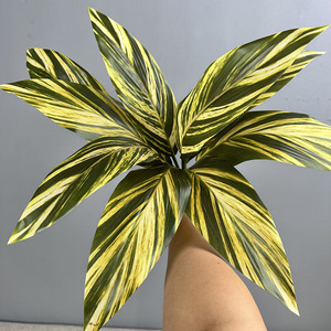 Foglia <span class=keywords><strong>di</strong></span> Banana Artificiale Colorata a 9 Foglie, Albero del <span class=keywords><strong>Sangue</strong></span> <span class=keywords><strong>di</strong></span> Drago Brasiliano, Decorazione Natalizia e del Ringraziamento in Plastica, 51cm, per Interni ed Esterni - Product Image 6