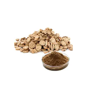 Astragalus Extract Astragalus Root Extract 30% 80%Polysaccharide