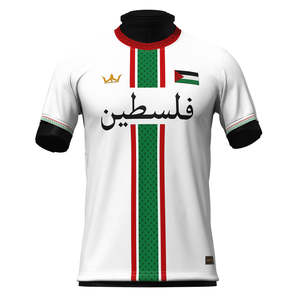 Maillot de football personnalisé 2024 de haute qualité avec logo, nom et numéro imprimés par transfert thermique, 100% polyester, Palestine National Club - Product Image 1