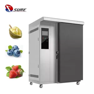 Hot Sale Low Price Nitrogen Continuously Freezer Cabinet Type Fast Frozen Cryogenic Liquid Nitrogen Freezer