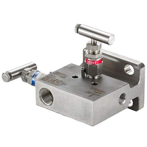 โรสเมาท์ 305/304/306 แมนิโฟลด์พร้อมหน้าแปลน สแตนเลส 316L รับประกัน 18 เดือน - Product Image 3