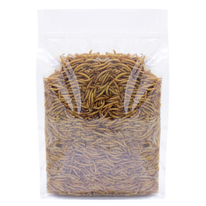 Yüksek Protein Mealworms vahşi kuş, tavuk, ördek, balık, sürüngen, kaplumbağa, amfibi, kertenkele - Product Image 3