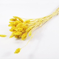 Bunga Barley Kering Alami Yunnan, Rumput Batu Permata Kering Berwarna-warni untuk Dekorasi Pernikahan, Rumah, Hari Valentine & Wisuda, Penjualan Panas