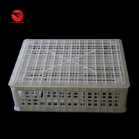 Cage de poulet en plastique, 755x555x250mm, économique