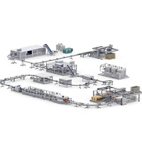 Machine de remplissage et de bouchage entièrement automatique pour bouteilles en verre, bouteilles PET, sachets souples, boissons gazeuses, sodas, eau et huile