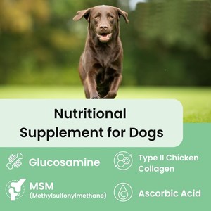 Friandises à mâcher souples pour chiens, prix d'usine, favorisent la flexibilité des articulations, soins et suppléments pour la santé des hanches et des articulations des animaux de compagnie - Product Image 2