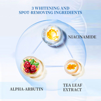 Sérum de soin de la peau de haute qualité avec arbutine et niacinamide pour éclaircir la peau, éliminer les taches et lisser les rides