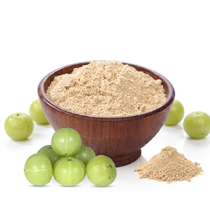 Gingerly Naturals Polvo Puro de Fruta Amla, Fórmula Concentrada para Protección del Color, Nutrición y Prevención de la Caída del Cabello, Uttar Pradesh - Product Image 1