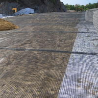 Geogrid Biaxial de Poliéster de Alta Resistencia HDPE para Estabilización de Suelos, Grava y Caminos, Alta Visibilidad, GEOROAD, 5 Años de Garantía