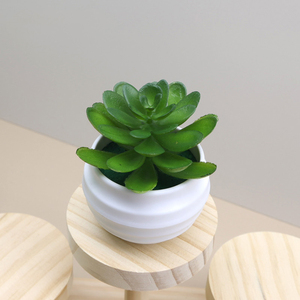Mini Loto Artificial en Maceta de Plástico I1265, Decoración de Mesa, Planta Artificial, Bonsái Verde, Flor en Maceta - Product Image 3