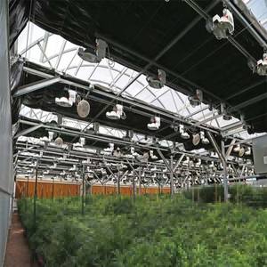 Automatic 100% Blackout <b>Light</b> Deprivation Multi-Span Agricultural PC Greenhouse System Large Size for <b>Growing</b> <b>Plants</b> - Product Image 5