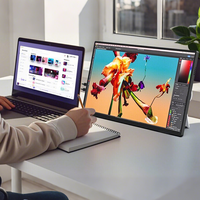 Vente en gros de moniteur portable 18.5 "Double prise aveugle 100% SRGB HDR FreeSync Type-C BOE IPS Panel 1080P Affichage de voyage