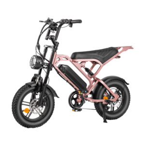 Le vélo électrique V20Mini offre une variété de couleurs, des pédales en aluminium, un moteur de 250W, des freins à disque, un chargeur 36V 13AH et des roues à rayons de 16 pouces. - Product Image 2