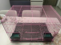 Nouvelle cage carrée en plastique pour l'intérieur, pour cailles, lapins, poussins, petits animaux de compagnie, volailles