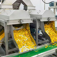 Mesin Pengolah Pure Mangga Canggih Multifungsi Harga Mesin Pembuat Pure Buah