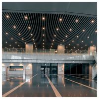 Elegantes Paneles de Techo de Aluminio para Arquitectura Moderna y Proyectos de Interiores
