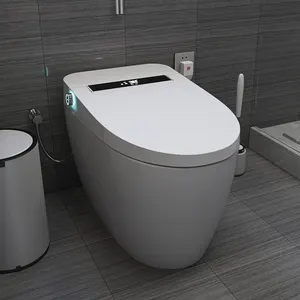 Çok fonksiyonlu elektronik tek parça otomatik temiz sıhhi tesisat su dolabı elektrikli wc otomatik akıllı akıllı tuvalet kase