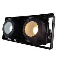Projecteur matriciel BFlight Audience Blinder DMX512 2*100W 2-en-1 RGBW LED étanche IP65 pour parcs à thème