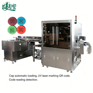 Système clé en main de marquage laser UV + inspection visuelle + corrélation des données pour la traçabilité des lignes d'emballage du lait - Product Image 5