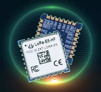 Module LoRa E5 STM32WLE5JC module de communication sans fil iot LoRaWAN EU868 US915