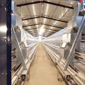 Niedriger Preis Landwirtschaft liche Maschinen Ausrüstung A Typ Schicht Hühner käfige für Hühner haus Geflügelfarm