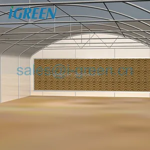 Straight wall tunnel greenhouse commercial for vegetables growing