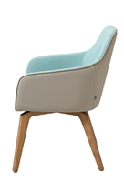 Chaise de salle à manger de luxe nordique avec accoudoirs, en tissu bicolore, pour la maison