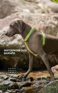 Yellow Waterproof Y-Shaped <b>Dog</b> Harness M Size Fashionable & Simple Harness with Breathable Wholesale OEM ODM - Product Image 3